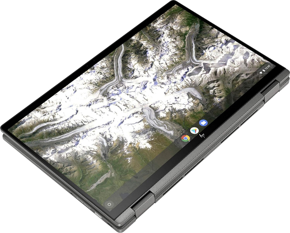2-in-1 Chromebook D816