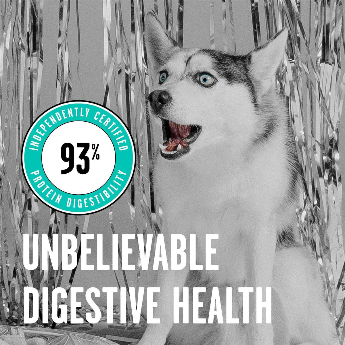 Freeze Dried Duck Recipe Dog Food T593744
