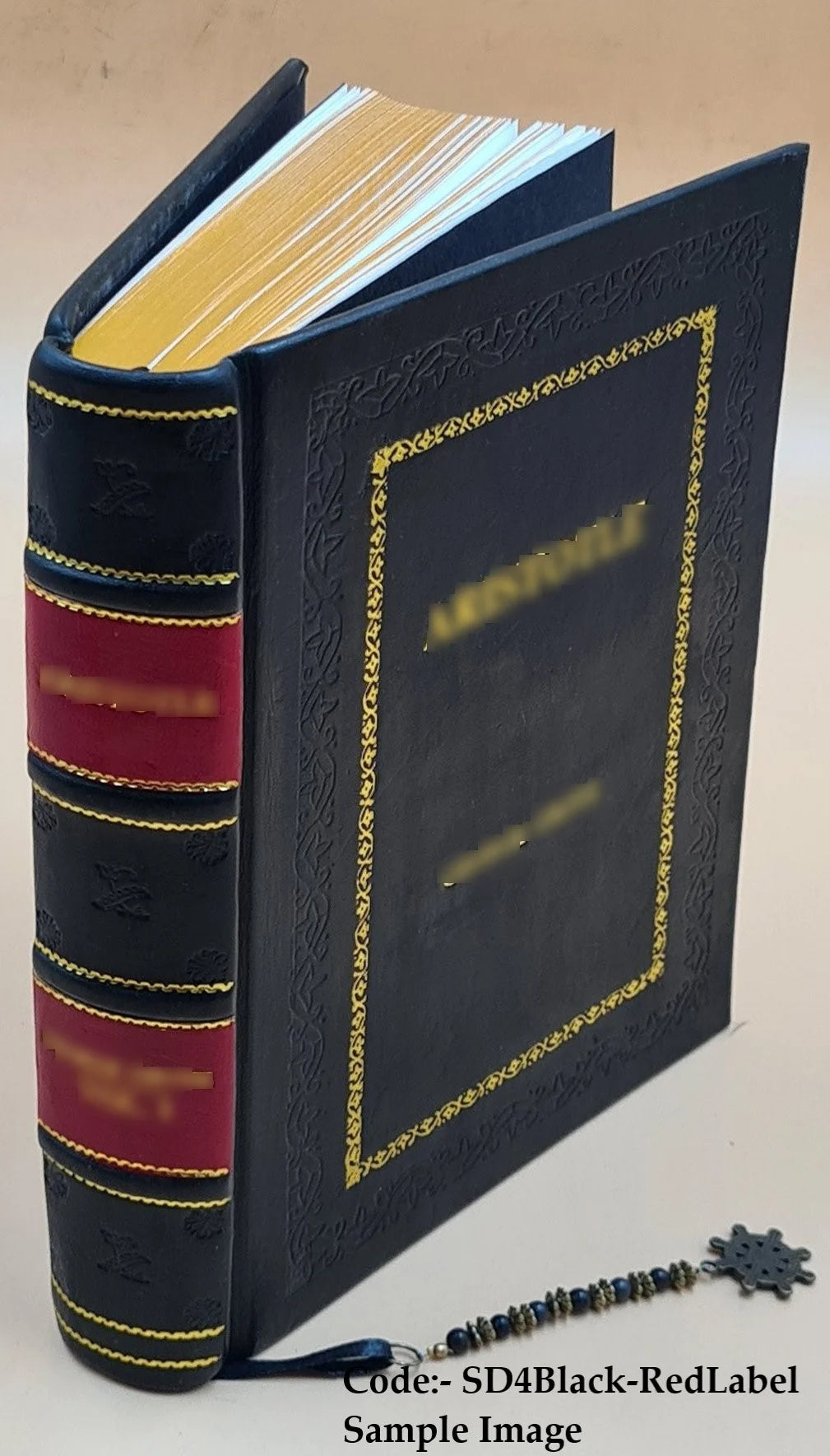 The Negro in Chicago; a Study of Race Relations and a Race Riot 1922 J33109