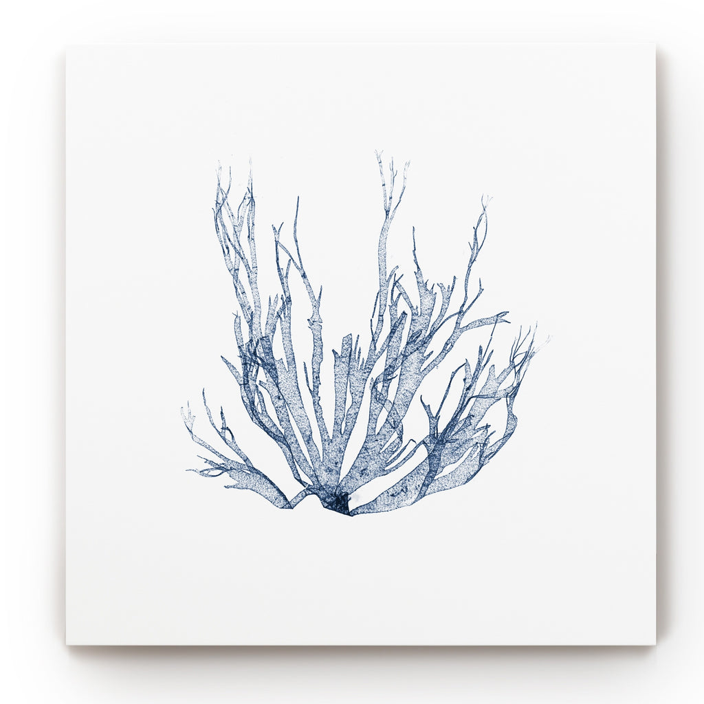 Navy Seaweed Gallery Wrapped Canvas 10x10 U44594