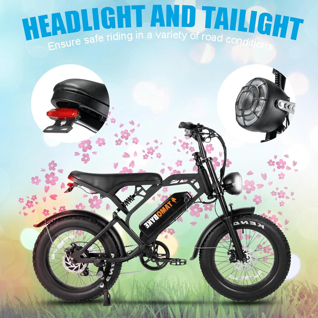 20'' Fat Tire Electric Bike with 1000W Motor J2415