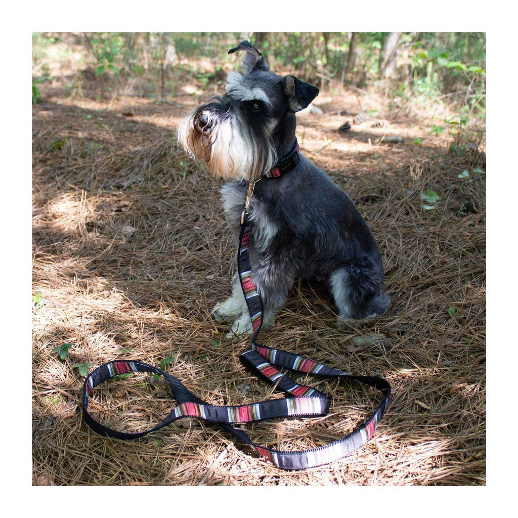 Dog Collar L303792