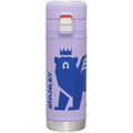 Stainless Steel Bottle 17 oz Lavender X59874