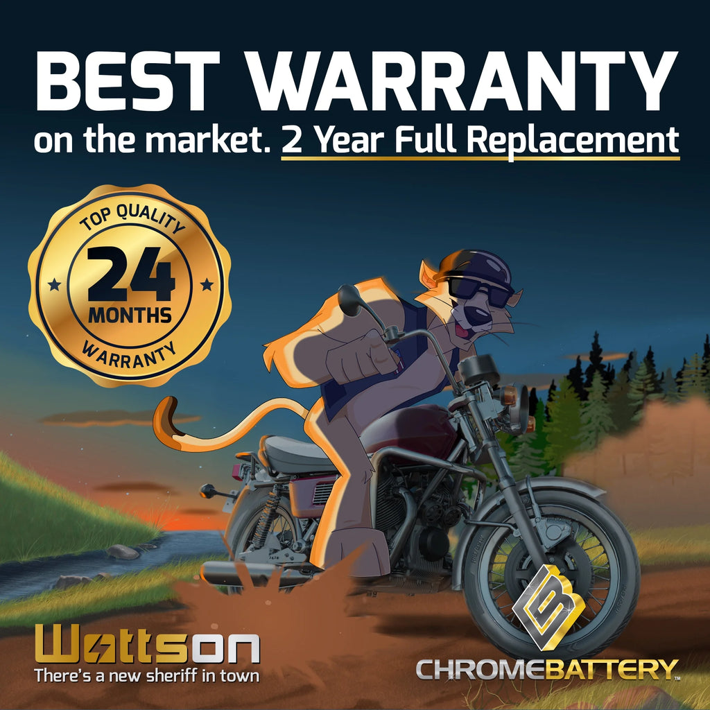 12 Volt 20 Ah 260 CCA Snowmobile Battery V21402