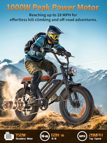 20" Fat Tire Electric Mountain Bike with 48V 18.2AH Battery C914565