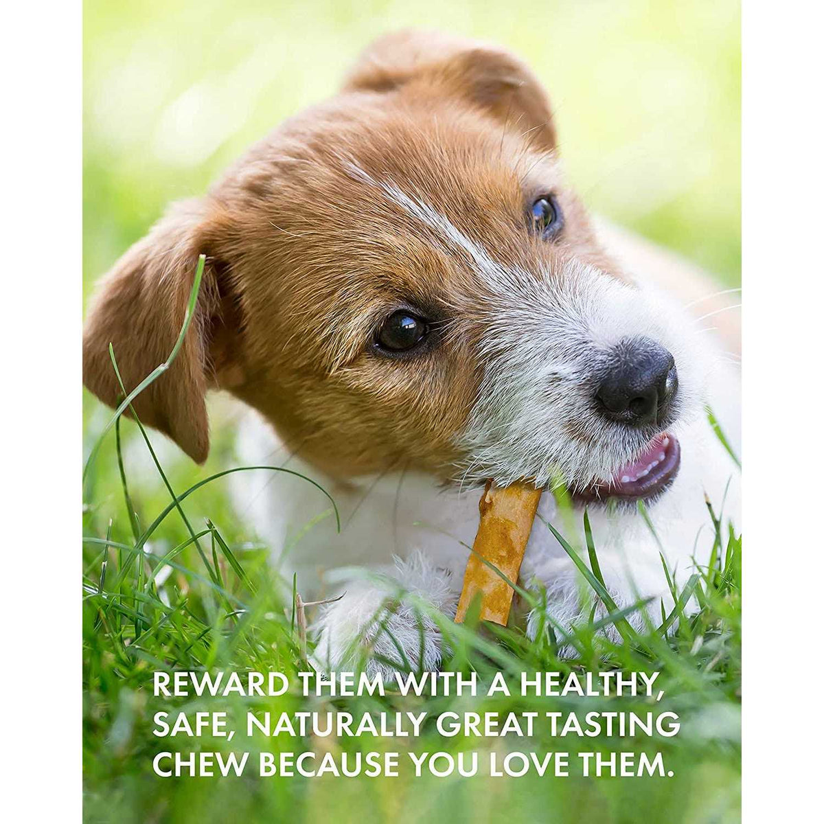 Chicken Recipe Stick Dog Chew O771