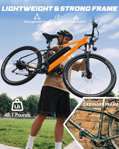21-Speed Lightweight Electric Mountain Bike with 750W Motor and 375Wh Removable Battery D862
