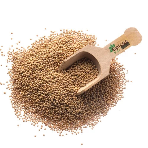 Mustard Seeds, Whole Yellow - 50 lbs K214584