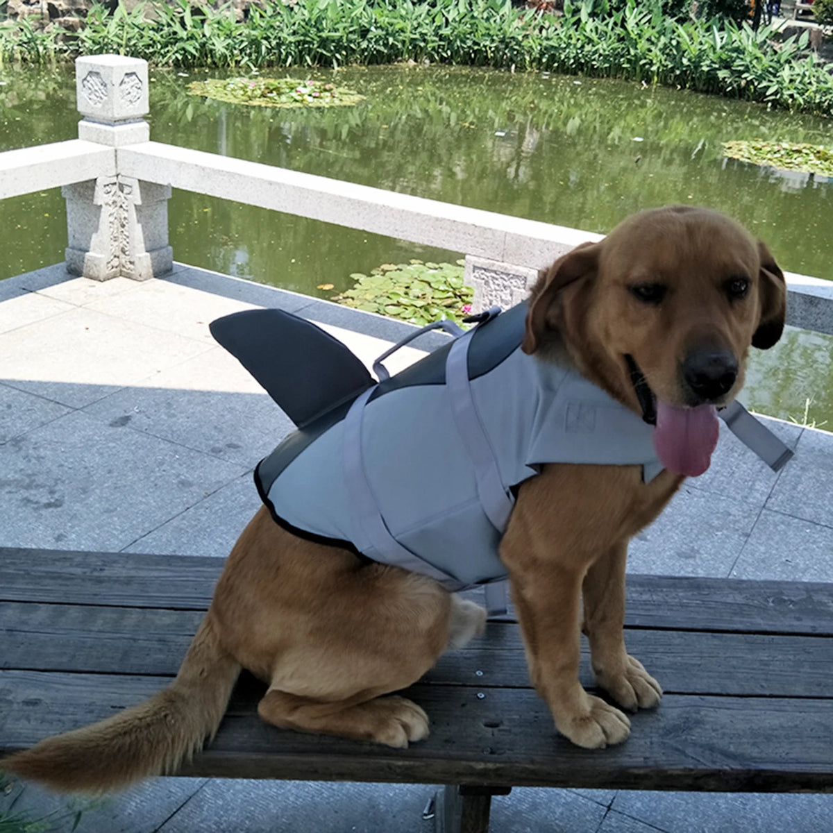 Dog Pet Shark Swimsuit Vest Safety Wear A46192