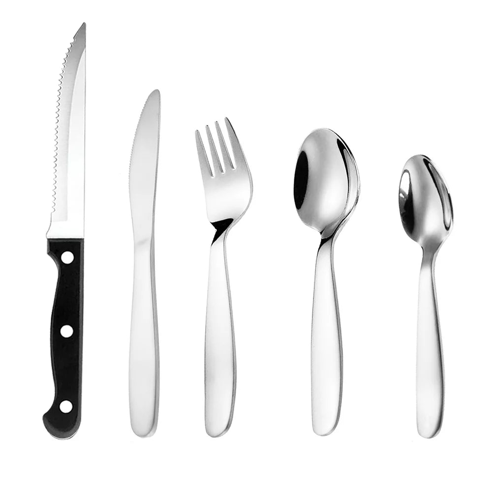 20-Piece Stainless Steel Silverware Set with Steak Knives X646859