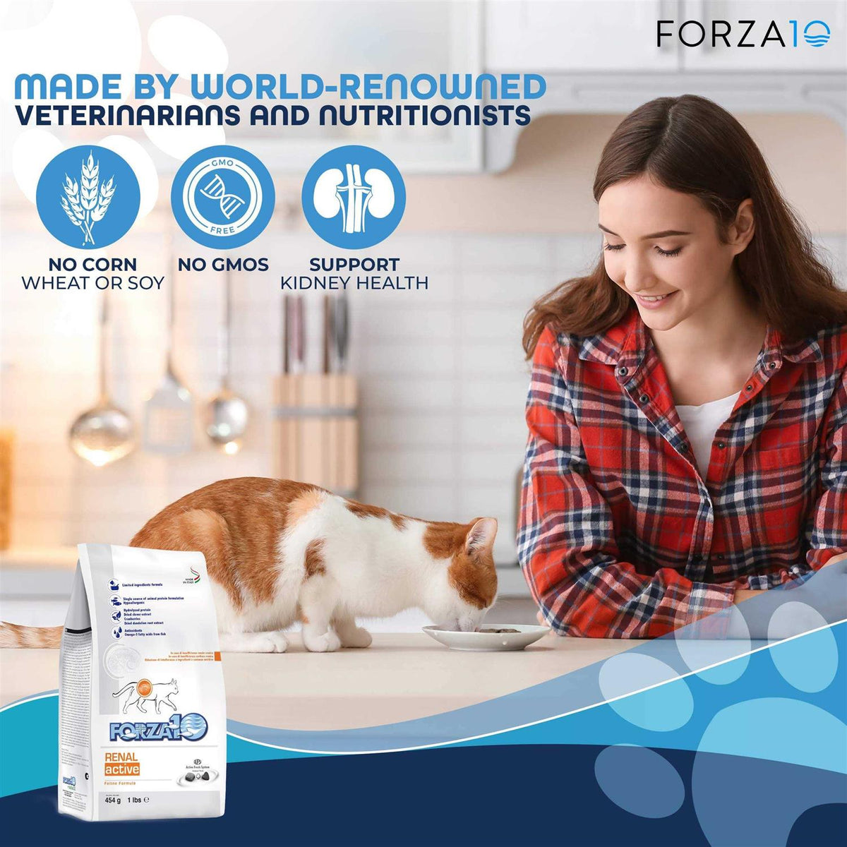Kidney Support Diet Dry Cat Food P3437