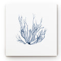 Navy Seaweed Gallery Wrapped Canvas 10x10 U44594