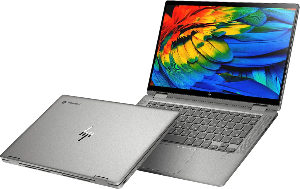 2-in-1 Chromebook D816