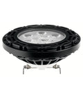 Black Landscape LED PAR36 10W 15 Degree J71283