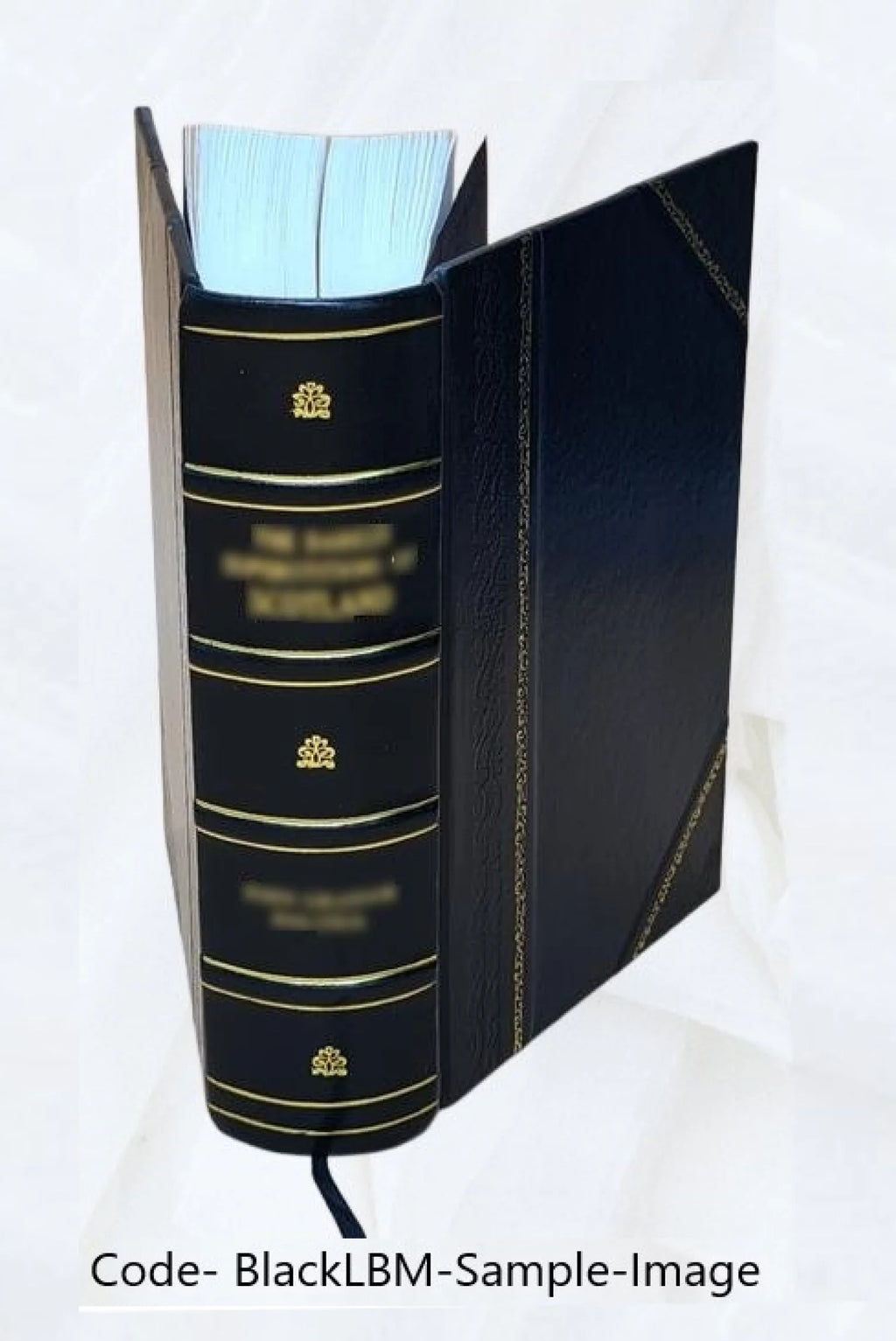 Leather Bound H741