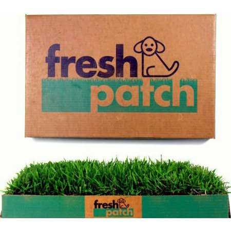 Large Real Grass Pee and Potty Training Pad for Dogs D9048
