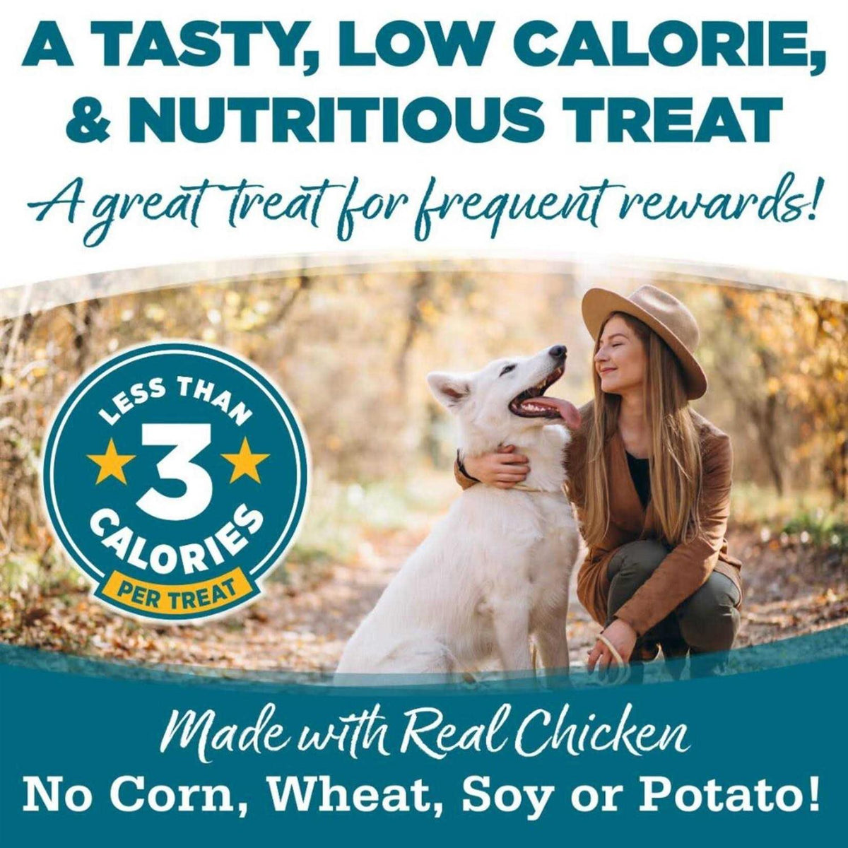 Chicken Dog Training Treats Y21380