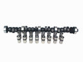 Cam & Lifter Kit R6988