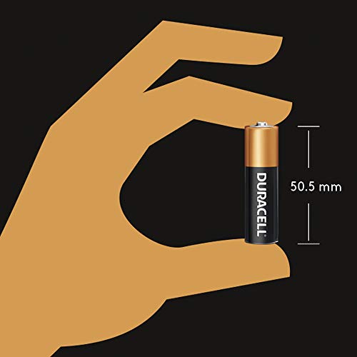 AA Alkaline Batteries, 24 per Box K258720