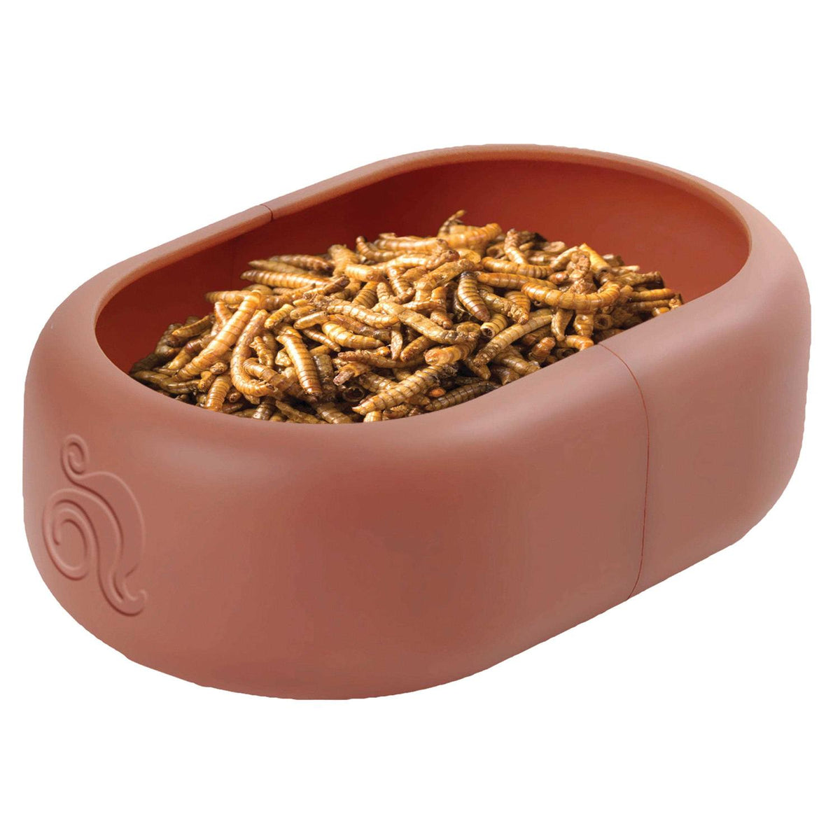 Mealworm Reptile Feeding Dish H194304