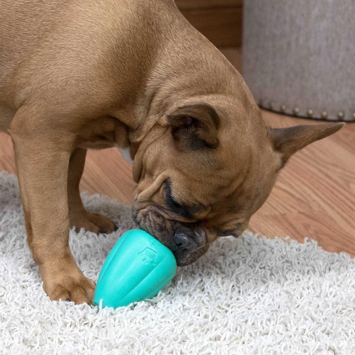 Dog Toy X42653