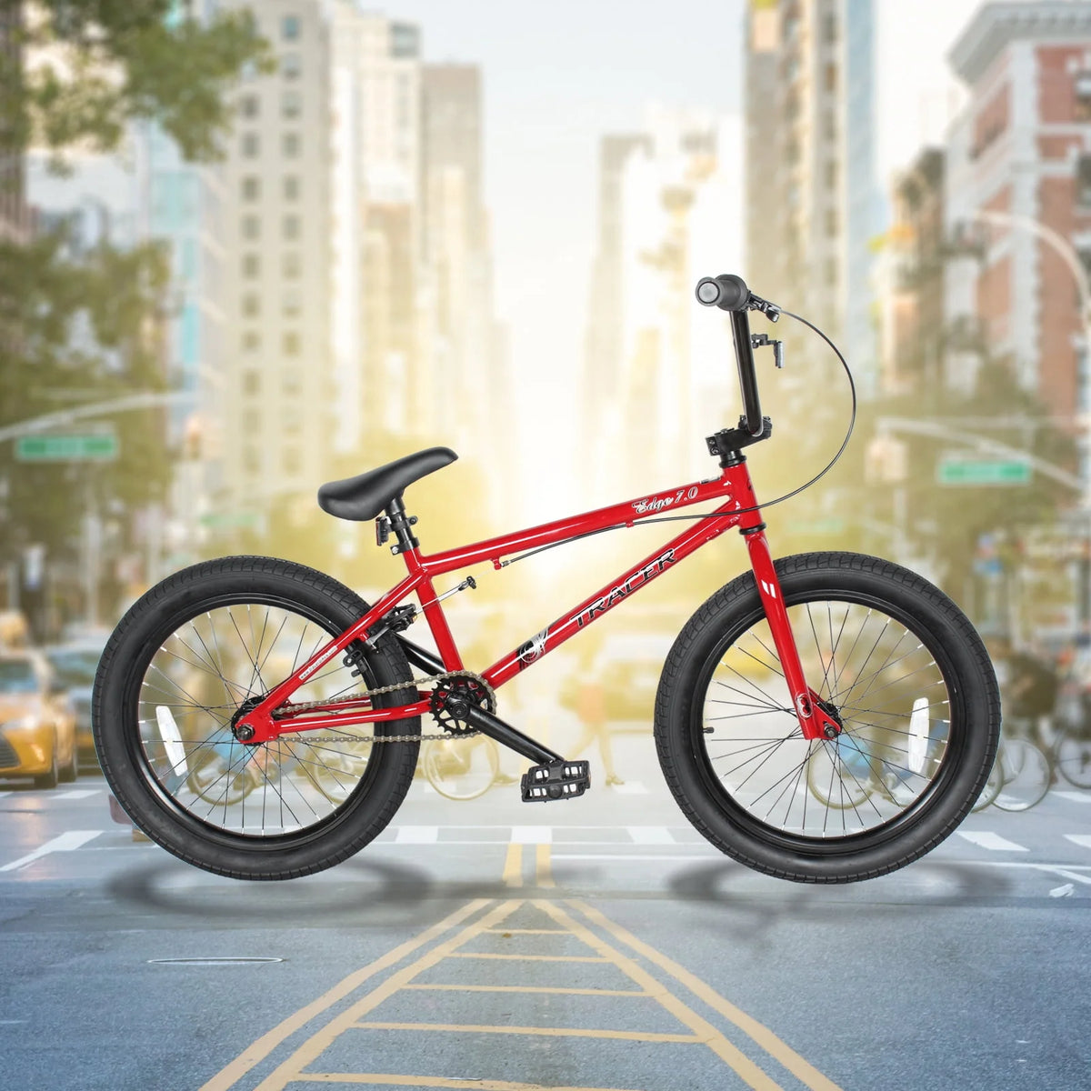 20 Inch Hi-Ten Steel Frame BMX Bike L307944