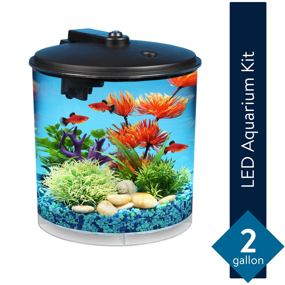 2-Gallon Plastic Aquarium with Power Filter & LED Lighting Y170