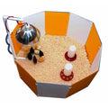 Orange & White Baby Chick Starter Home J709