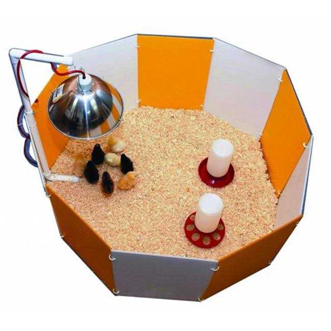 Orange & White Baby Chick Starter Home J709