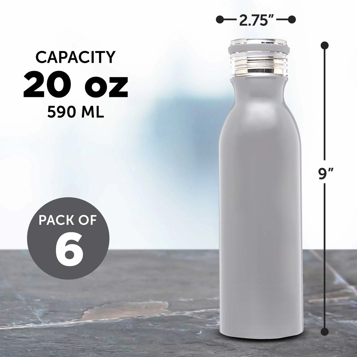 20 oz Set of 6 Stainless Steel Water Bottles U341445