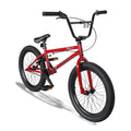 20 Inch Hi-Ten Steel Frame BMX Bike L307944