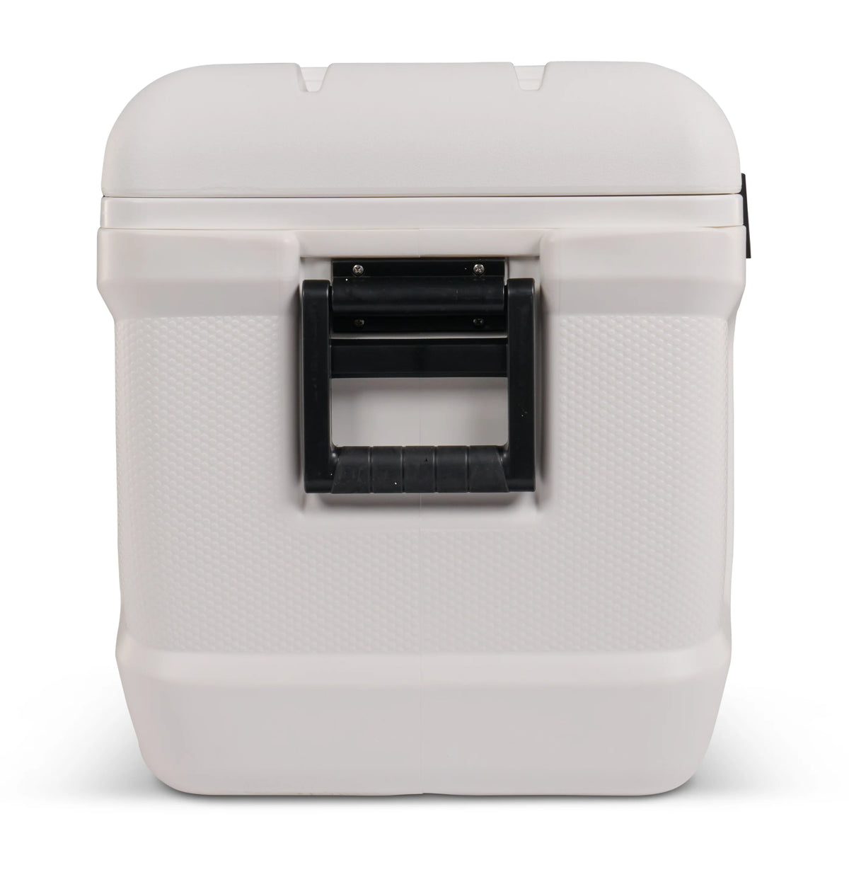 150 QT White Hard Side Cooler R628917