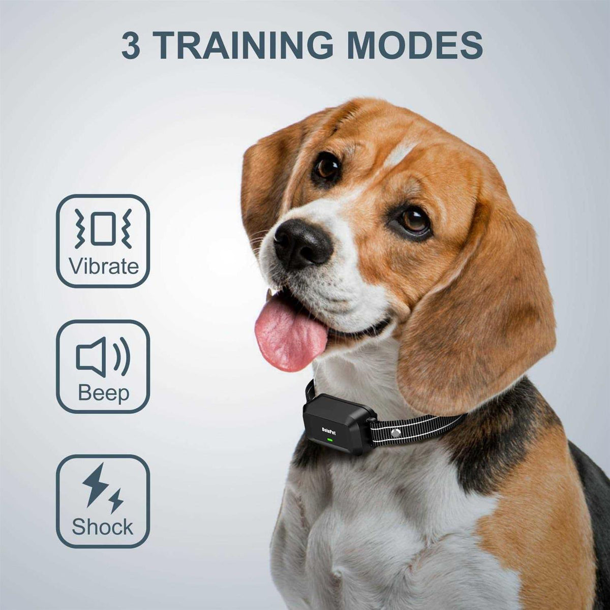 Dog Training Collar with Remote 1600FT A134251