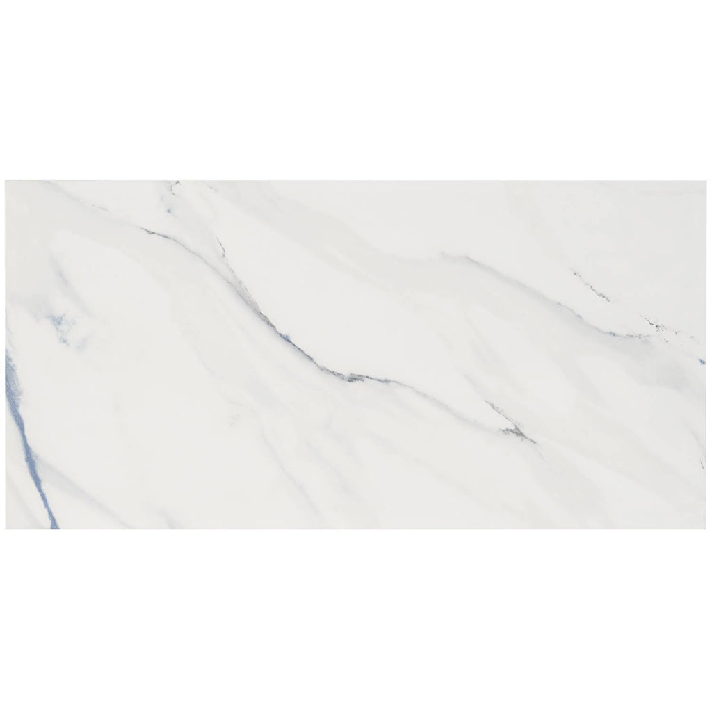 Polished Porcelain Floor and Wall Tile 12 in. x 24 in. 6-Piece Q26704