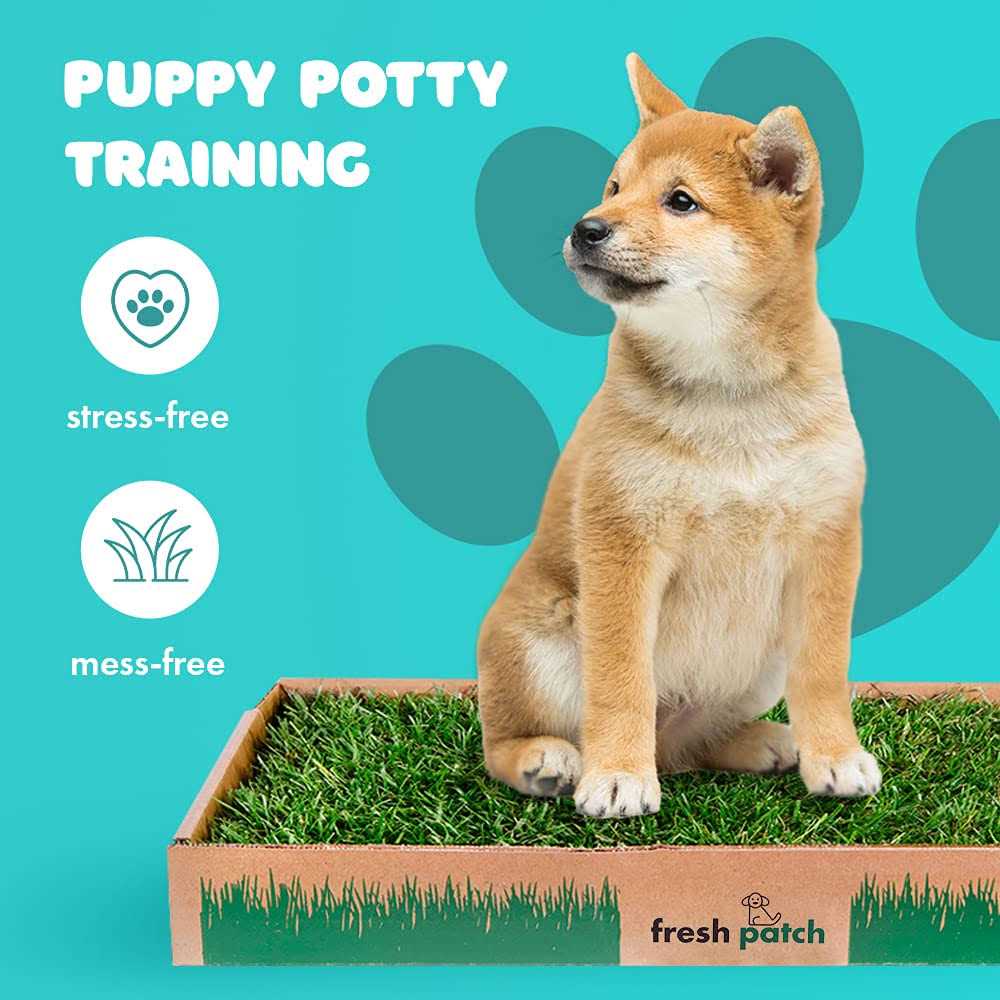 Large Real Grass Pee and Potty Training Pad for Dogs D9048