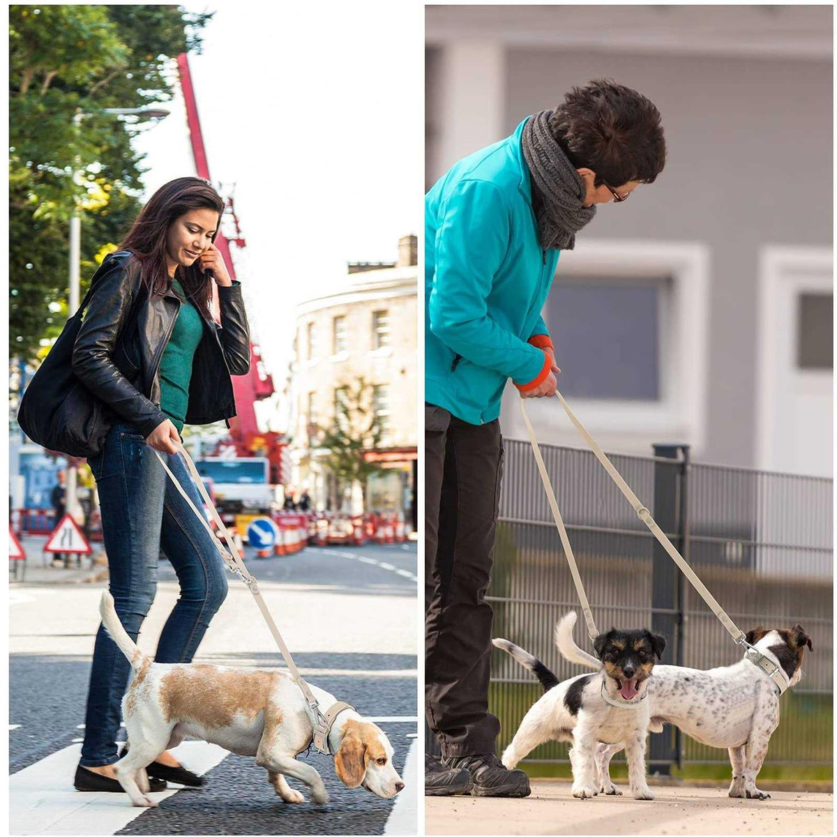 Waterproof Dog Leash with 2 Hooks, Adjustable Lengths R1110