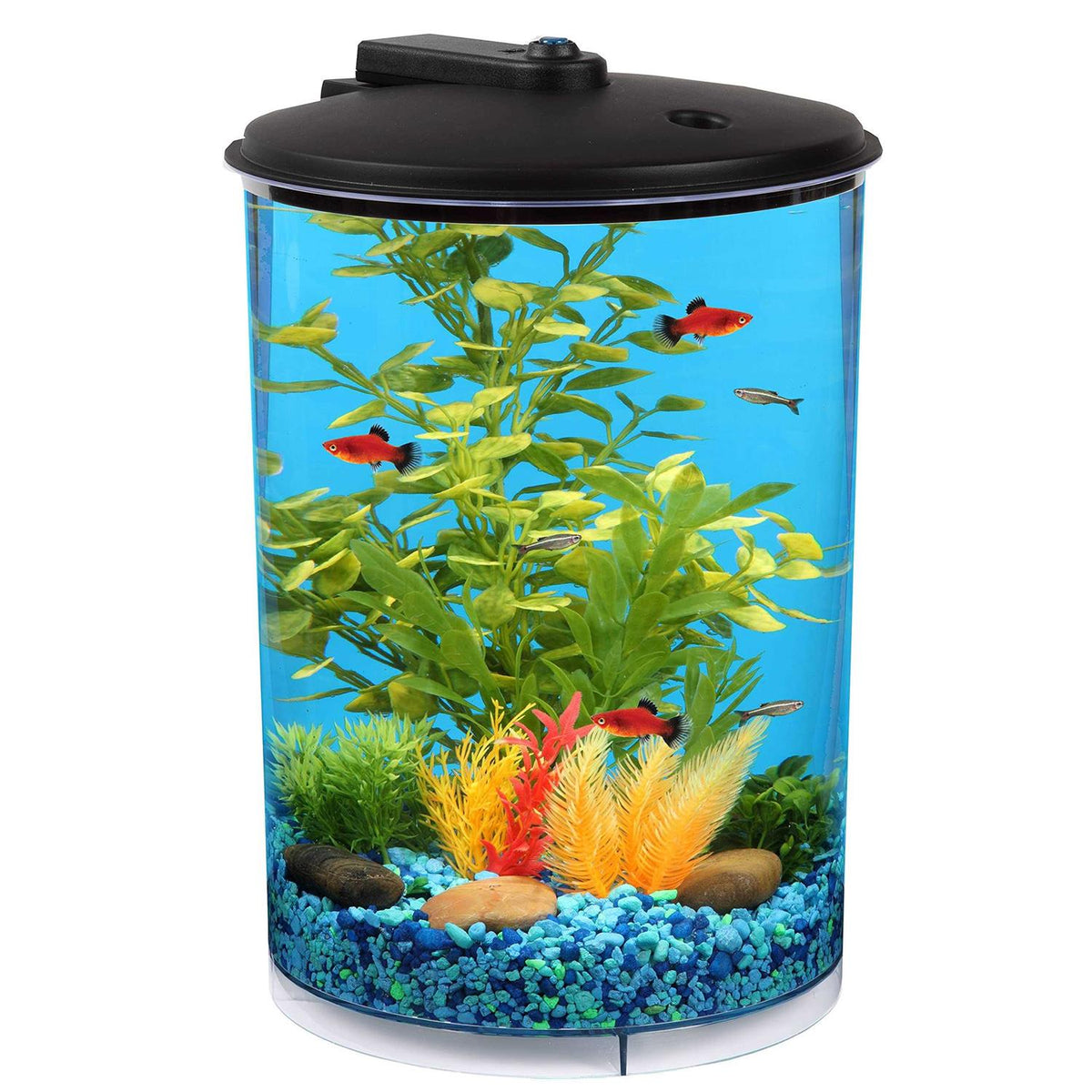3-Gallon Aquarium with LED Lighting and Power Filter O504