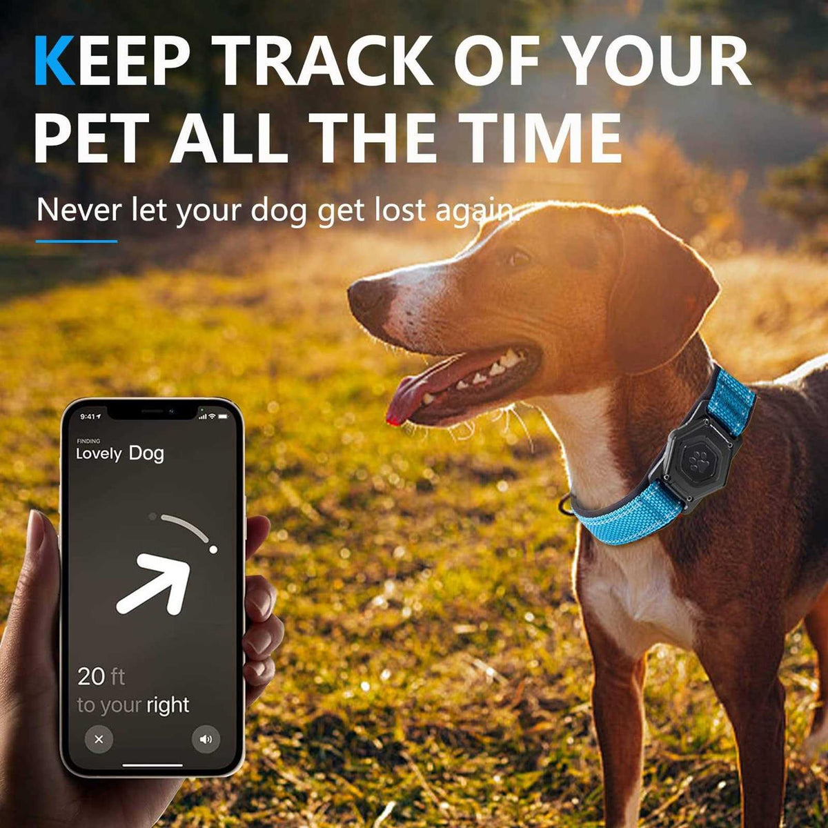 Adjustable Reflective Dog Collar with Air Tag Holder J47887