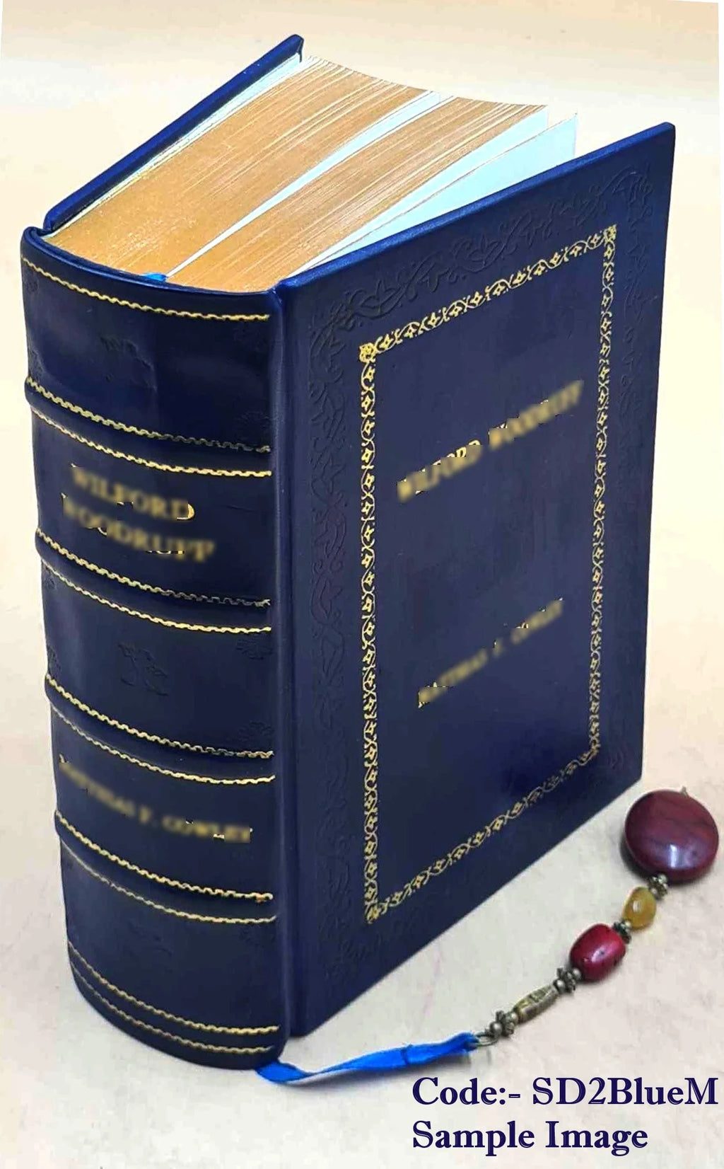 The Negro in Chicago; a Study of Race Relations and a Race Riot 1922 J33109
