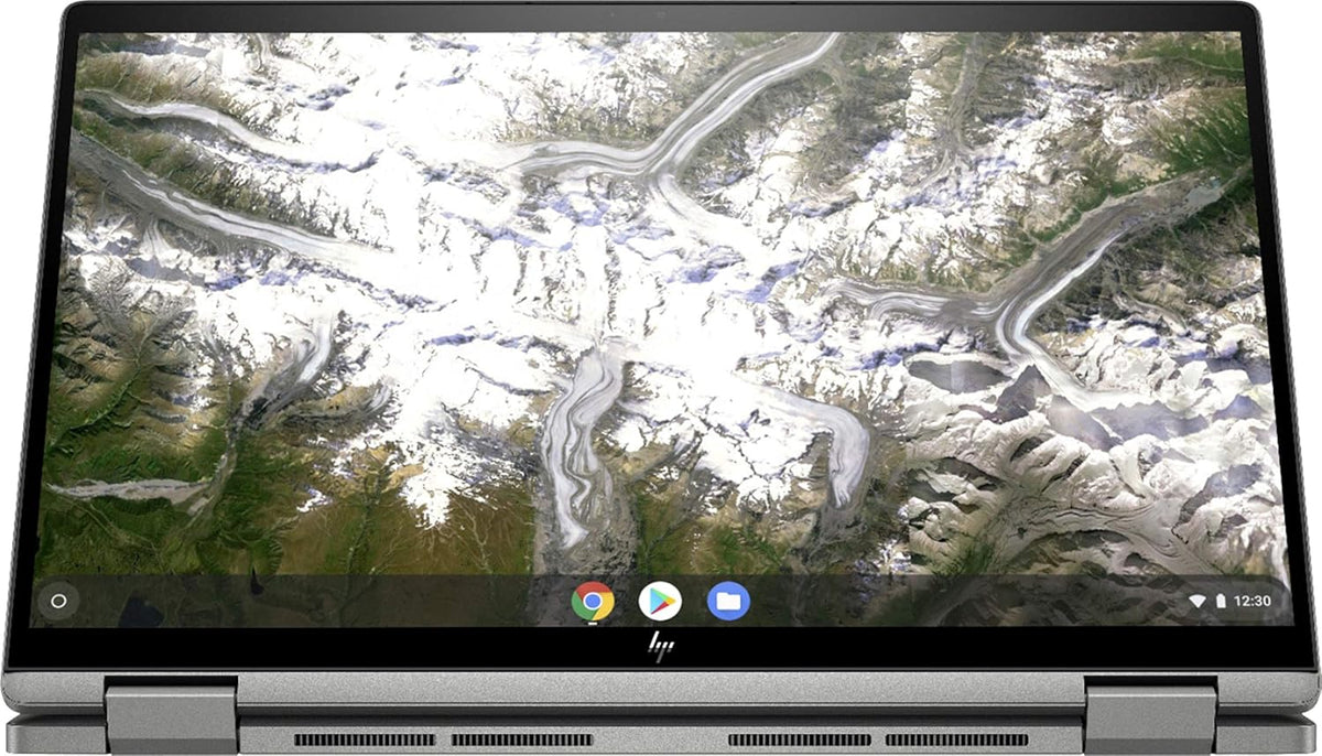2-in-1 Chromebook D816