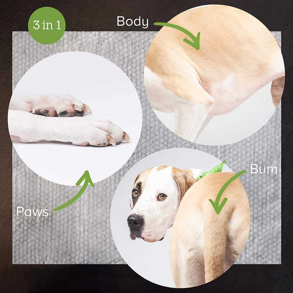 Plant Based Unscented Dog Wipes Y8810