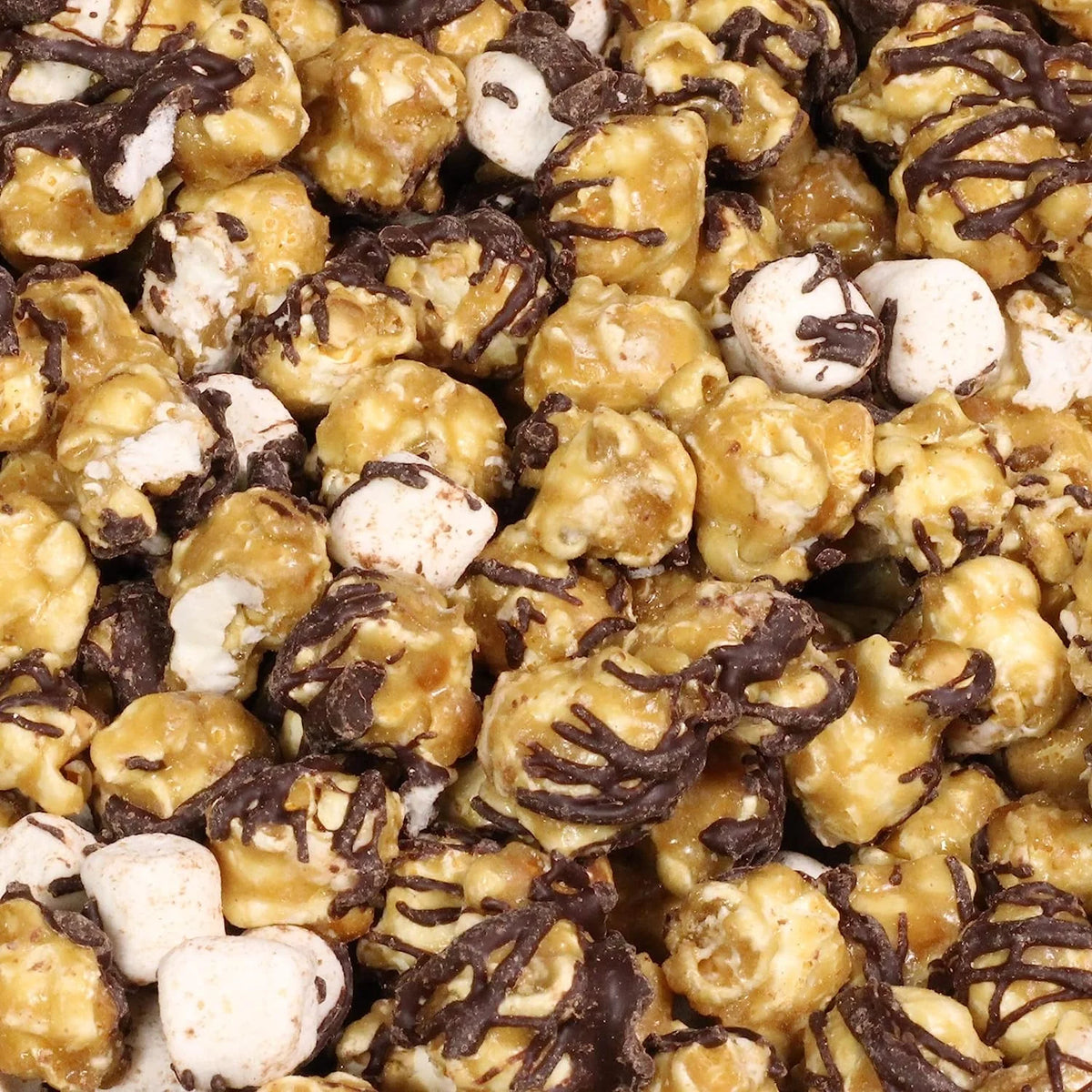 Chocolate S'mores Popcorn 1 Lb Bag J98928