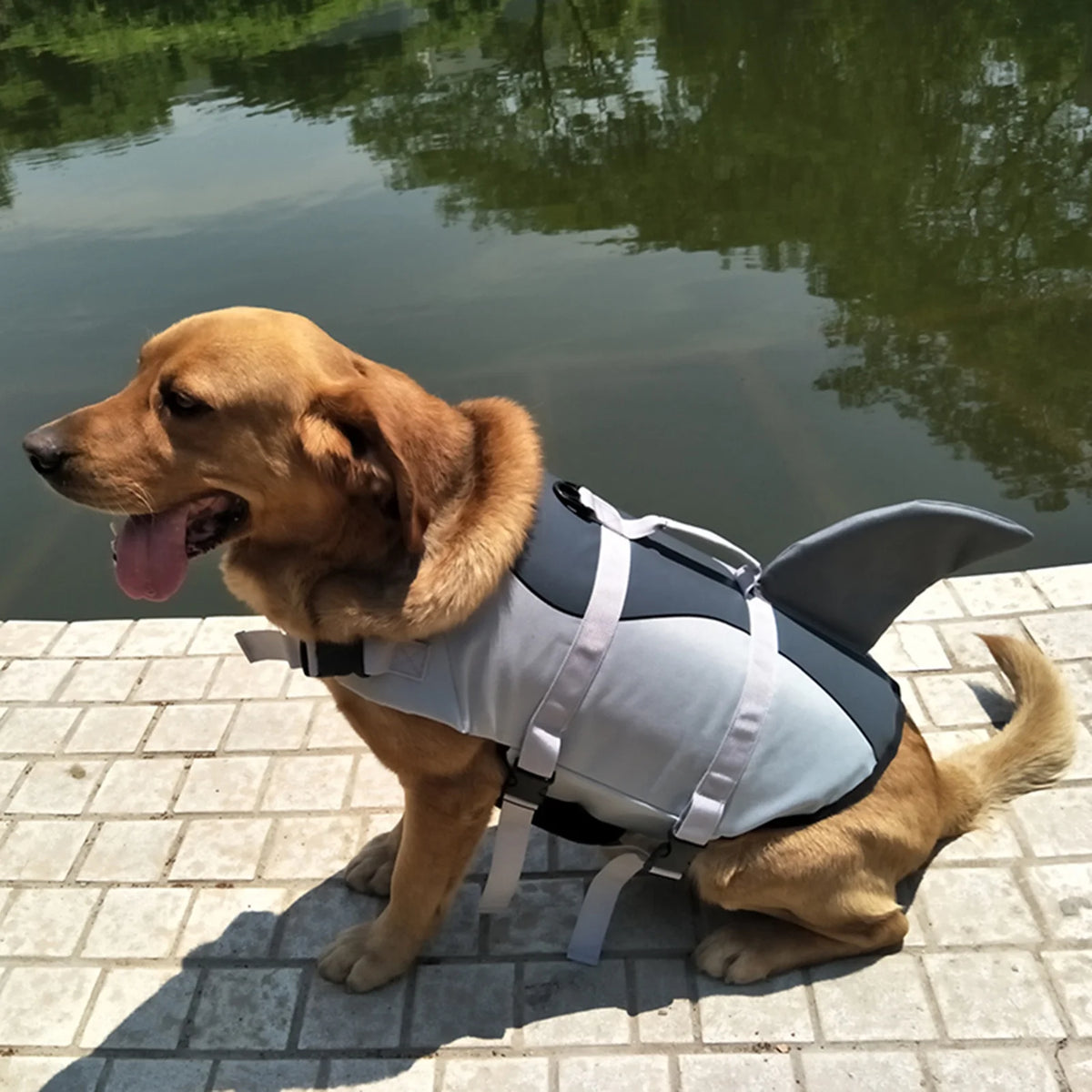 Dog Pet Shark Swimsuit Vest Safety Wear A46192