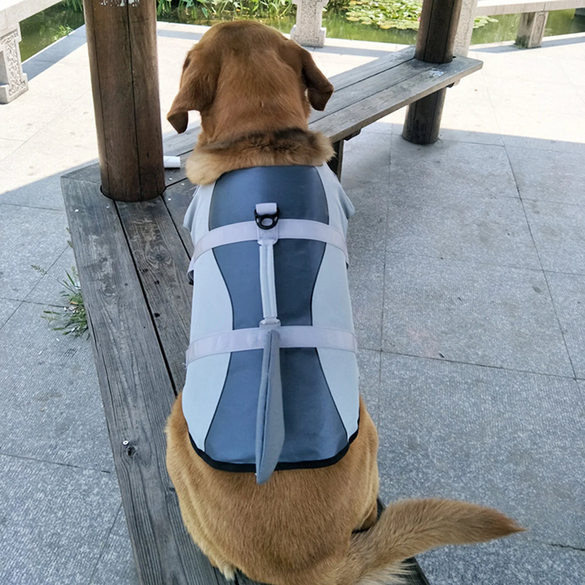 Dog Pet Shark Swimsuit Vest Safety Wear A46192