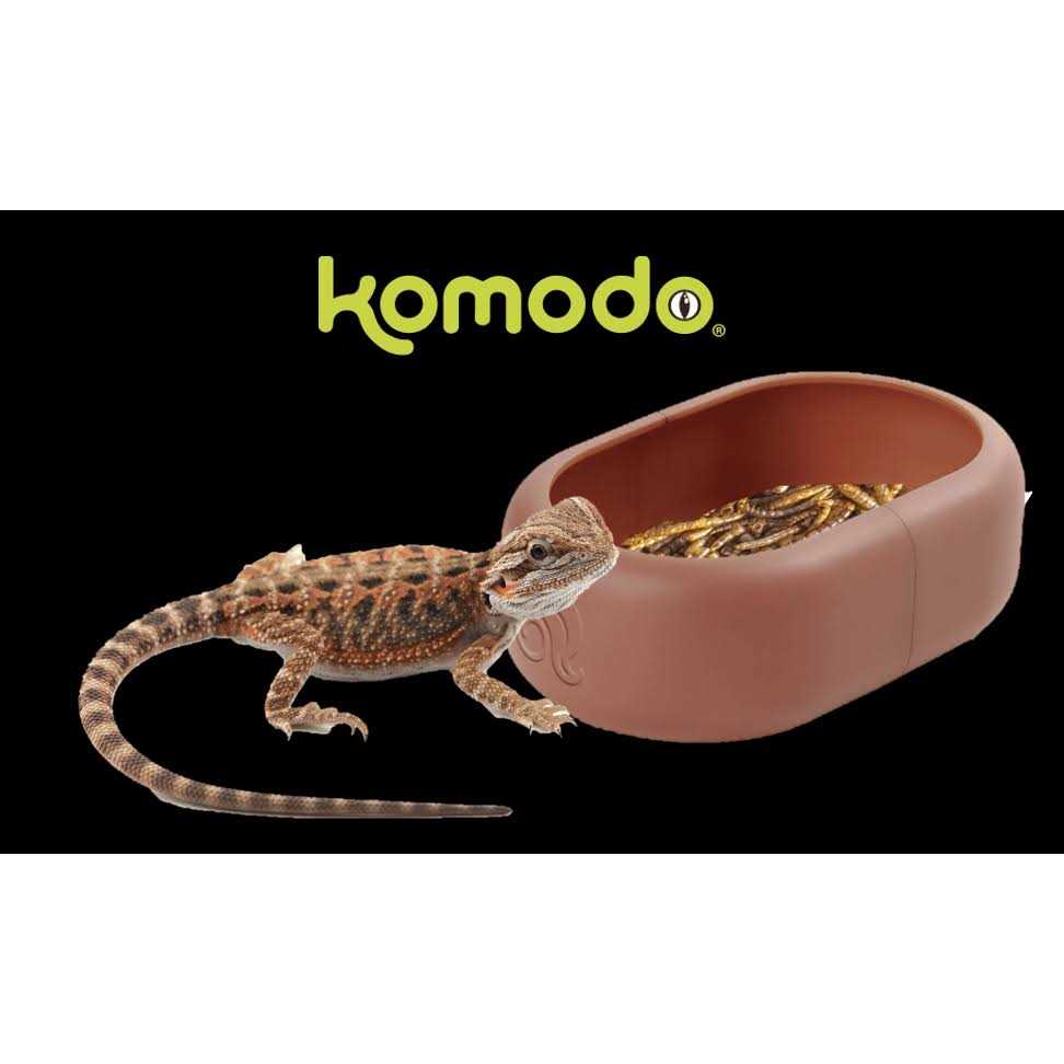 Mealworm Reptile Feeding Dish H194304
