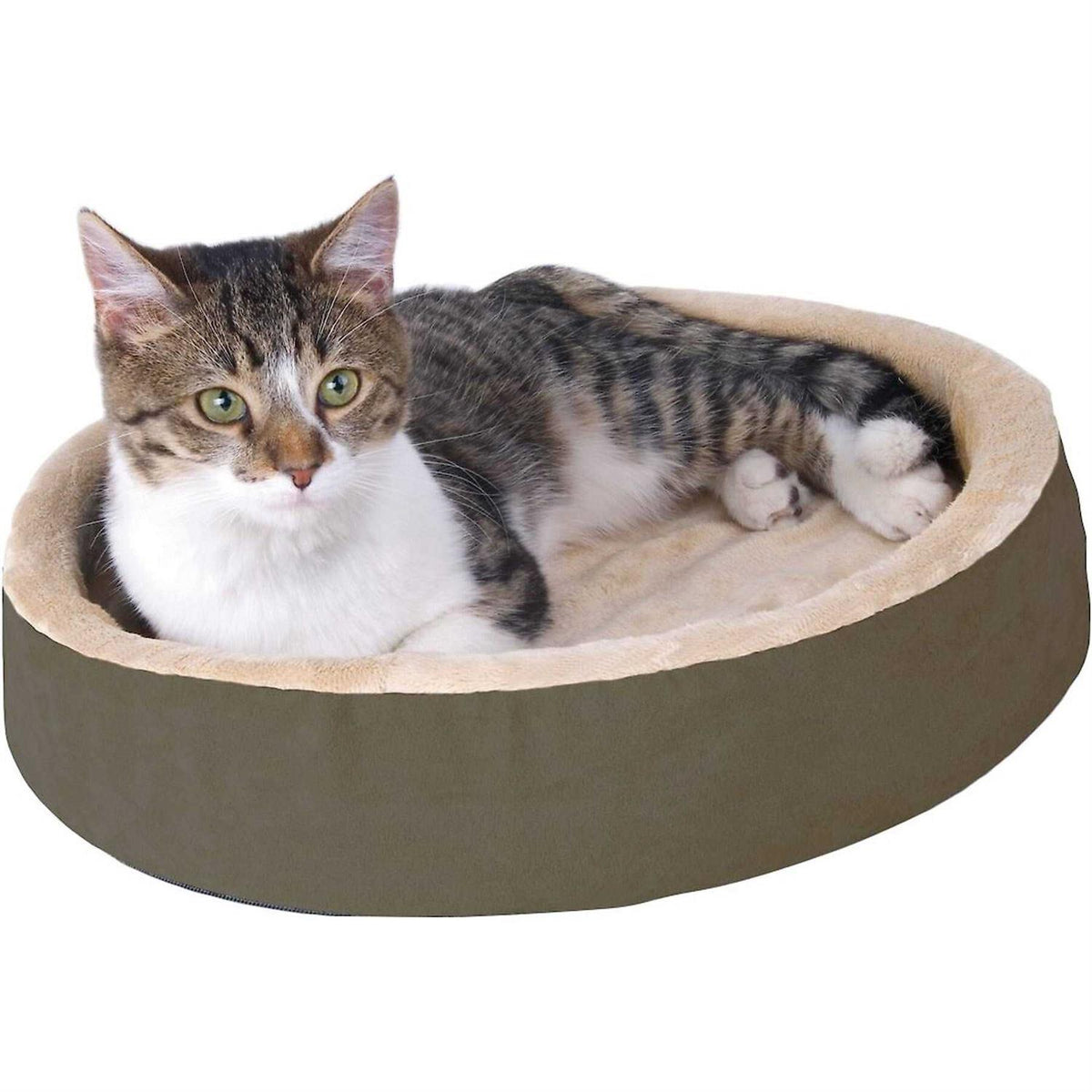 Cat Bed T918192