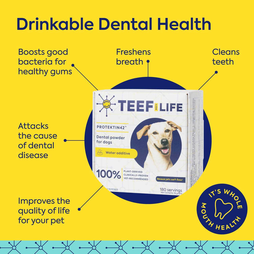Pet Supplies C237