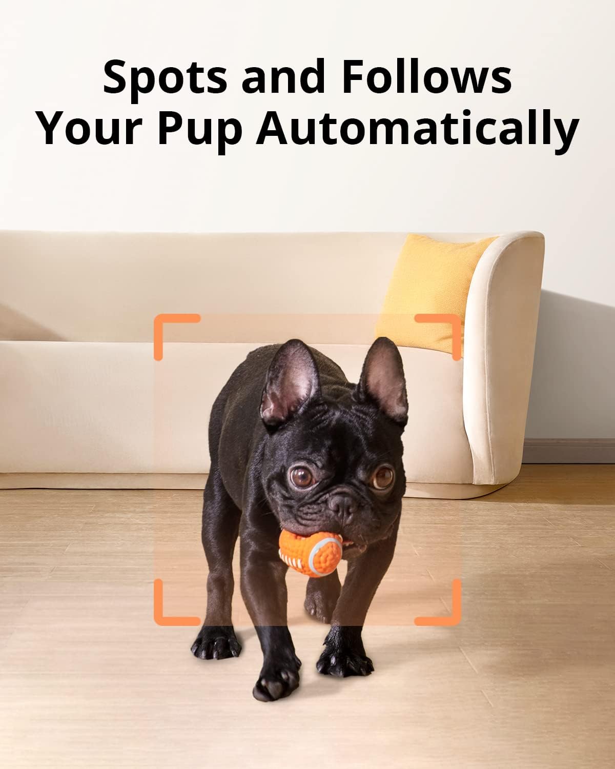 1080p Pet Camera with Treat Dispenser C3325