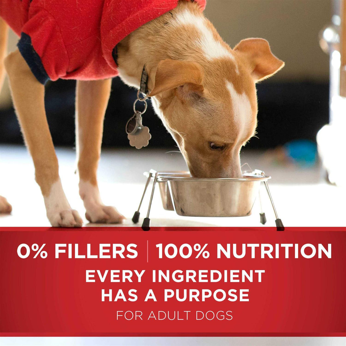 Beef & Rice Dry Dog Food V91217