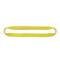 3 Ply 22 x 30 Endless Polyester Web Sling S354